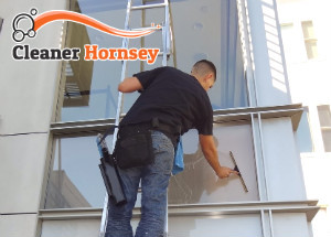 WIndow Cleaner Hornsey