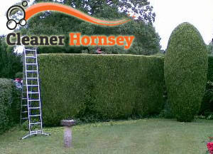 Hedge Maintenance Hornsey