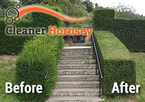 Hedge Trimming Before and After