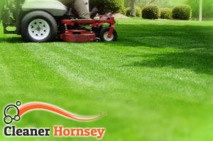 grass-cutting-hornsey