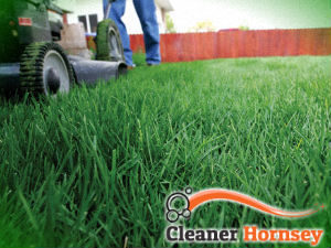 grass-cutting-services-hornsey