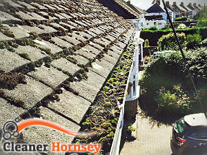 gutter-cleaning-hornsey